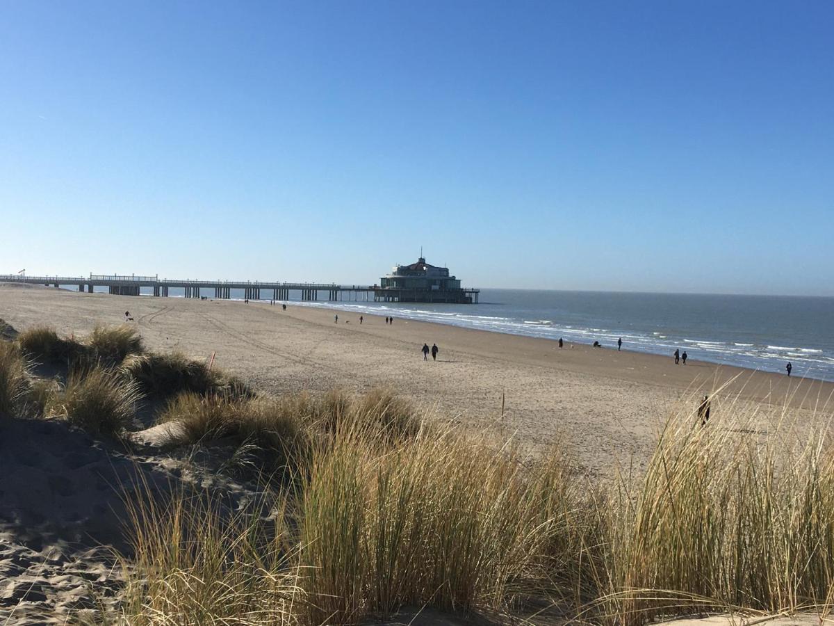 Oase 'T Huyseke Villa Blankenberge Eksteriør billede