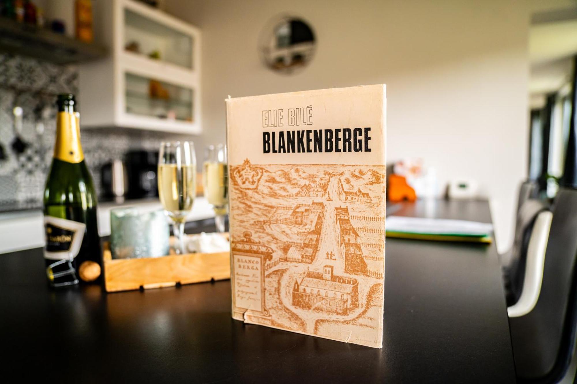 Oase 'T Huyseke Villa Blankenberge Eksteriør billede
